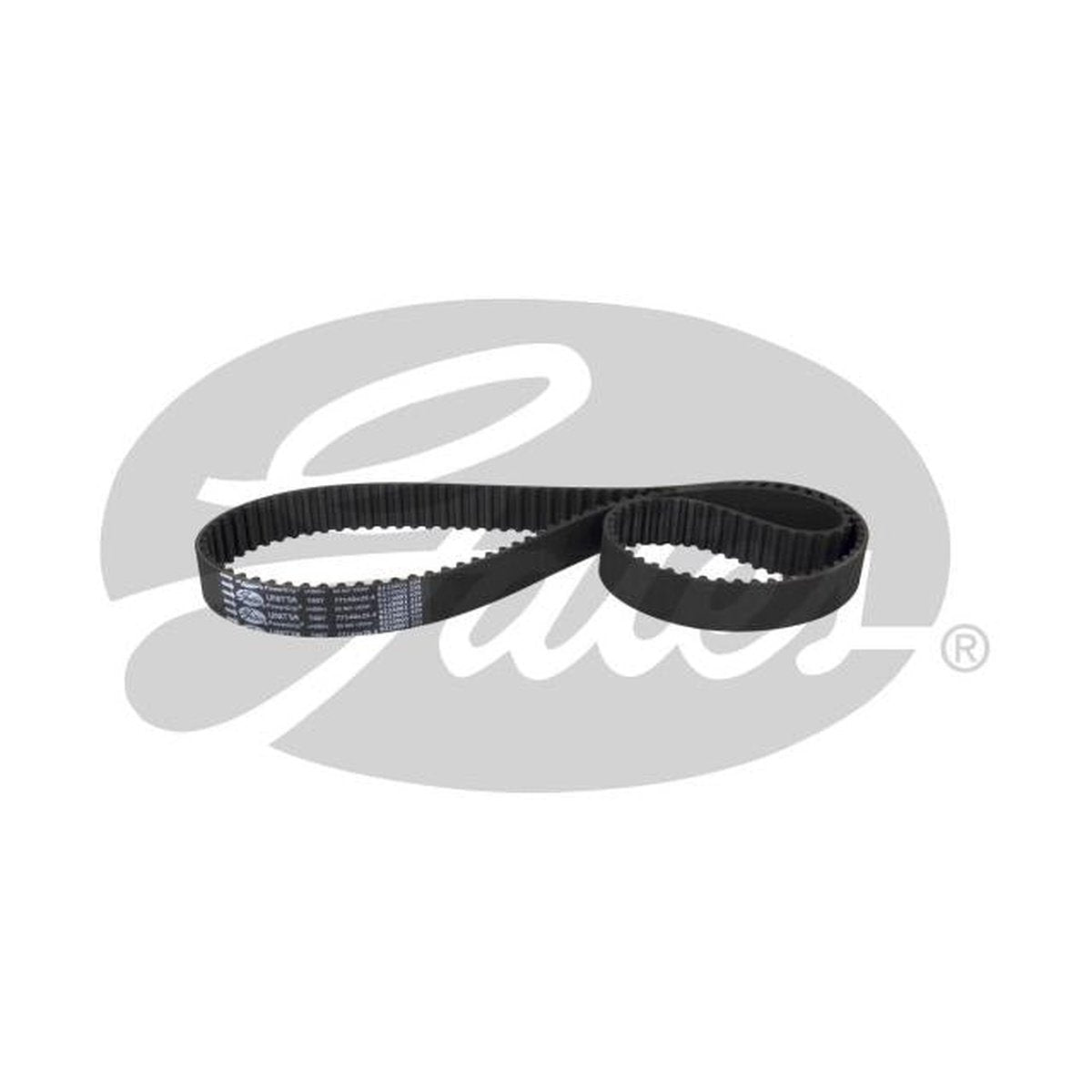Gates Timing Belt T607