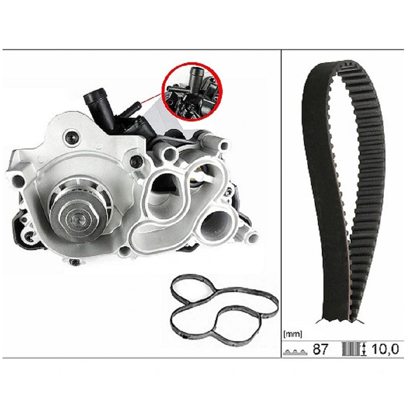INA Water Pump & Timing Belt 530 0742 30