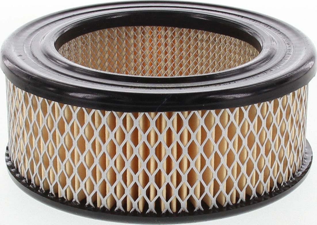 Ryco Air Filter A109