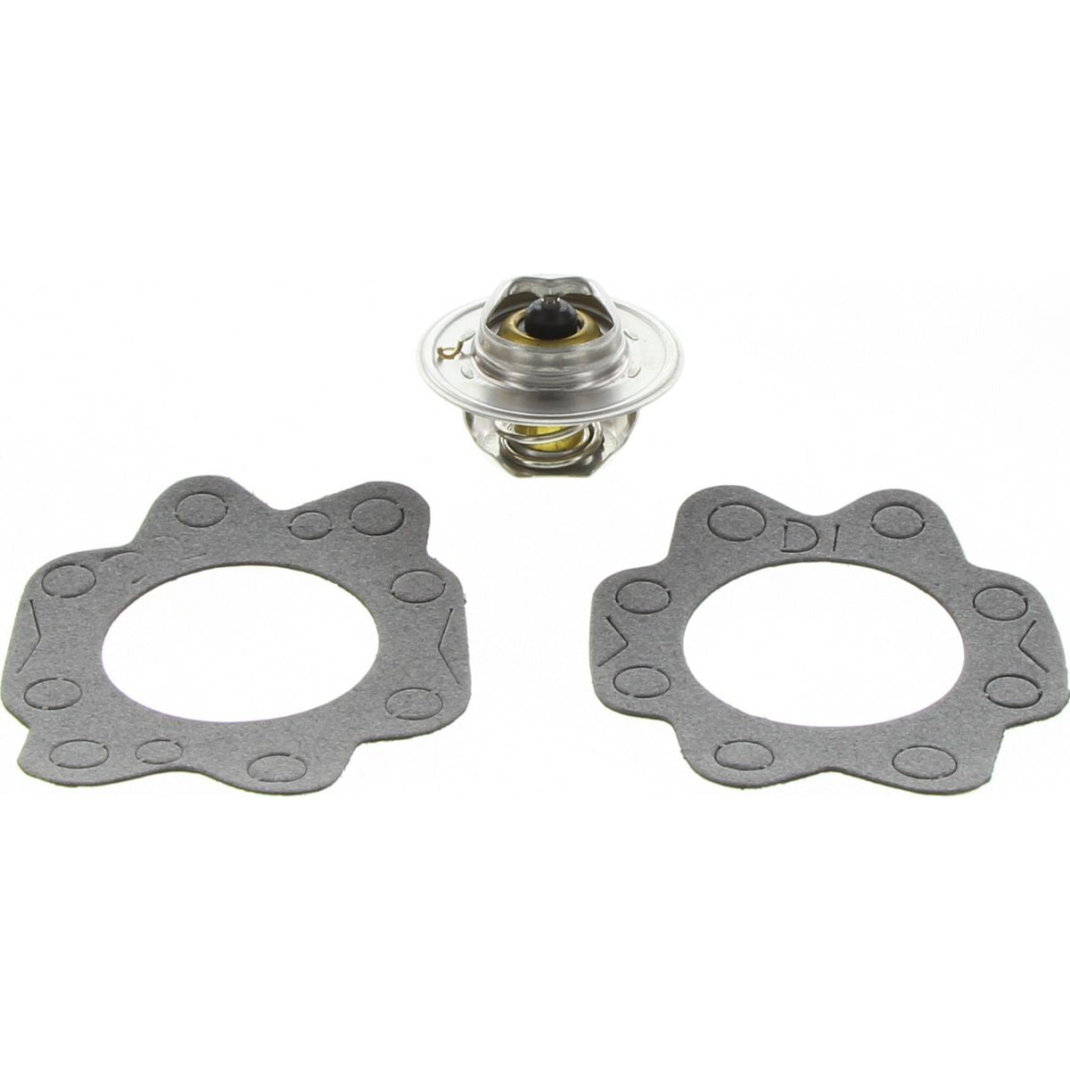 Dayco Thermostat DT14A-BP