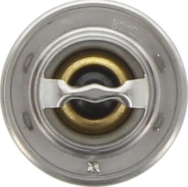 Dayco Thermostat DT17A-BP