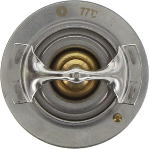 Dayco Thermostat DT19E-BP