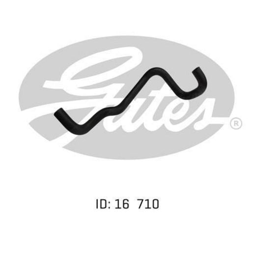 Gates Radiator Hose 02-0098