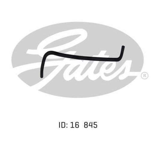 Gates Radiator Hose 02-0102