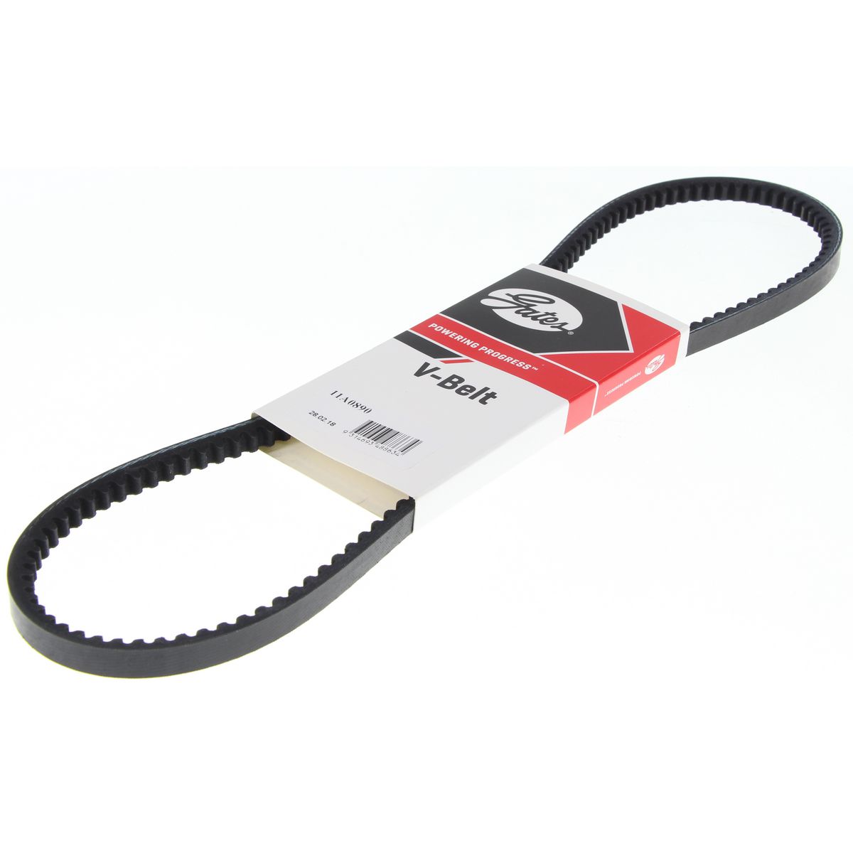 Dayco V-Belt 11A0890