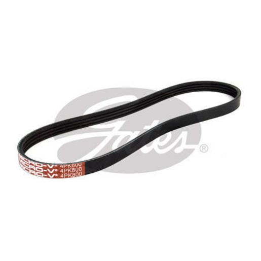 Gates Ribbed Belt 4PK800