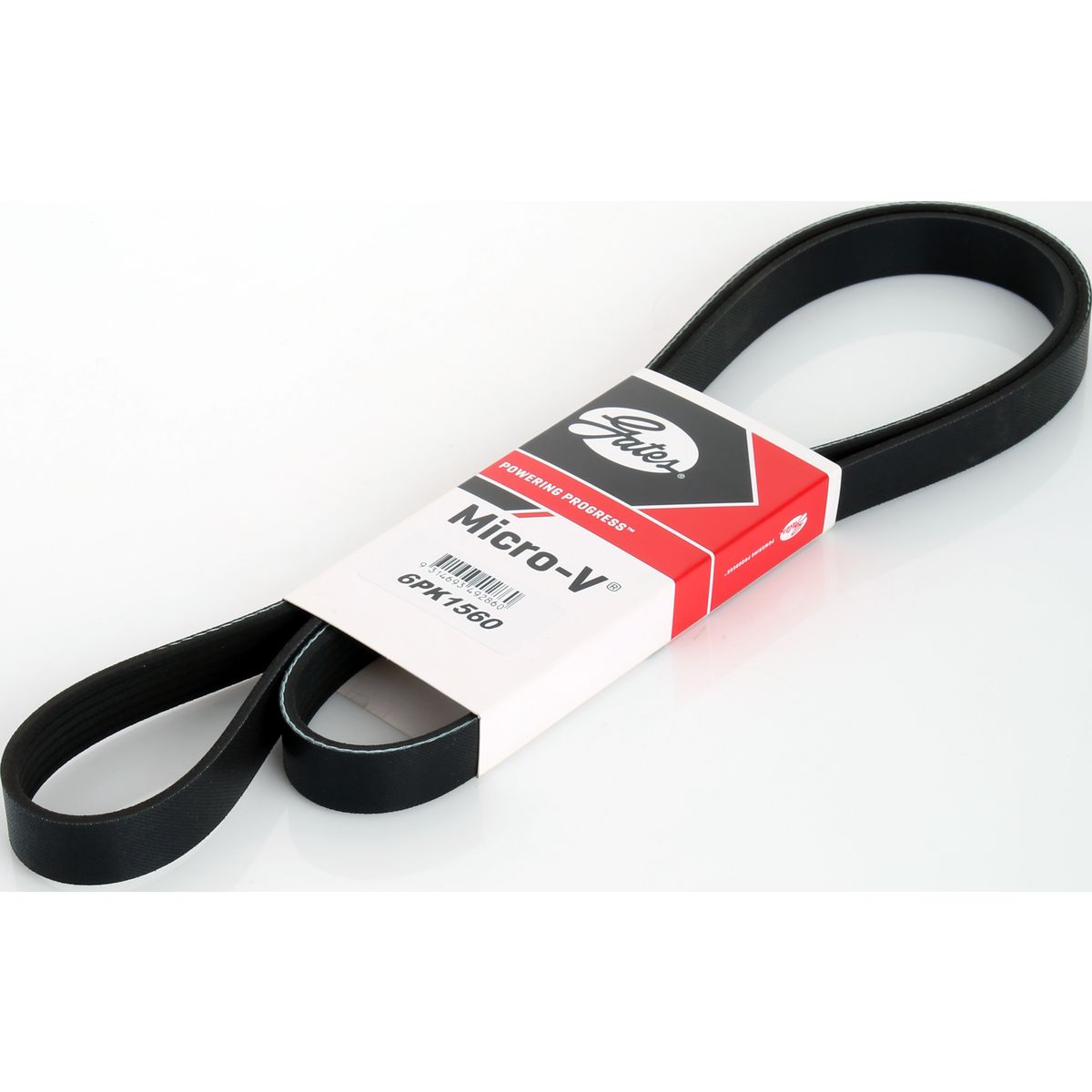Dayco Ribbed Belt 6PK1650
