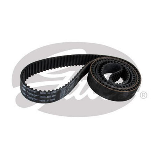 Gates Timing Belt T297