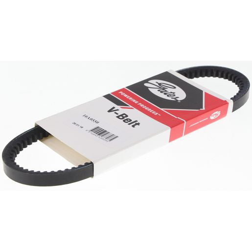 Gates Automotive V Belt 10A0550