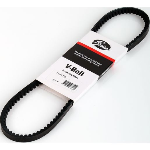Dayco V-Belt 11A0775