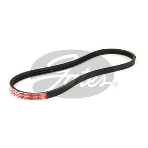 Gates Ribbed Belt 3PK550