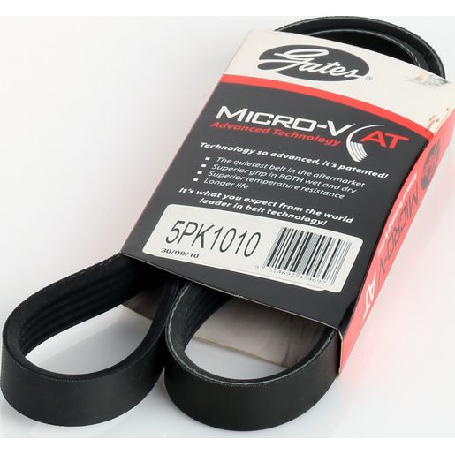 Dayco Ribbed Belt 5PK1010