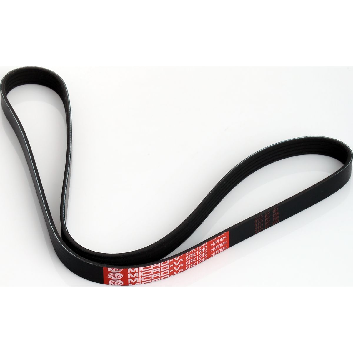 Dayco Ribbed Belt 5PK1240