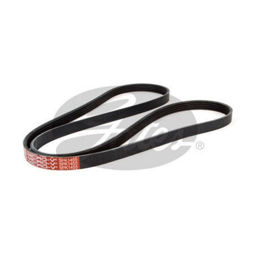 Gates Ribbed Belt 5PK1455