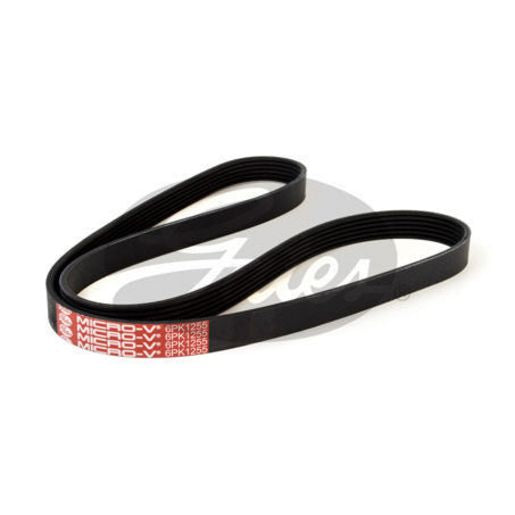 Dayco Ribbed Belt 6PK1255