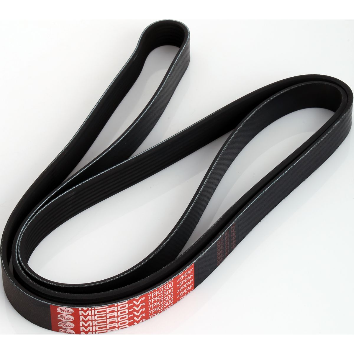 Holden Ribbed Belt 7PK2300