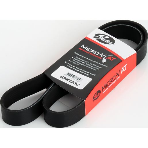 Dayco Ribbed Belt 8PK1230