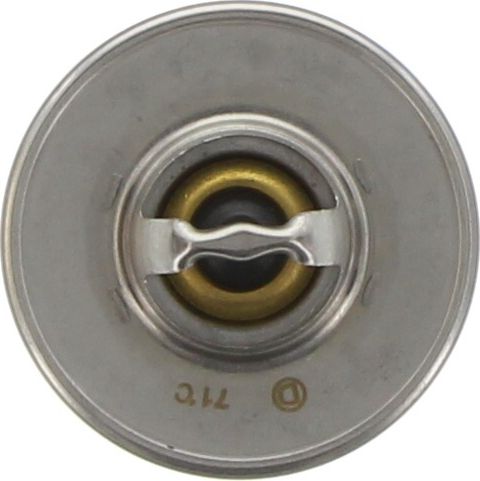Dayco Thermostat DT30C-BP