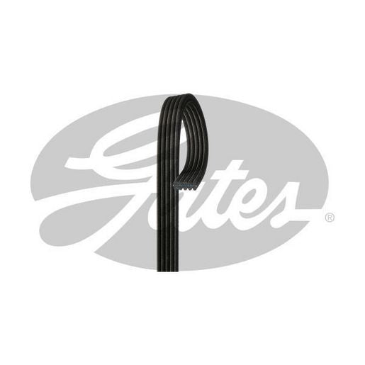 Gates Micro-V Belt 5DPK1435