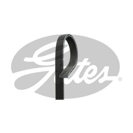 Gates Micro-V Belt 5DPK1550