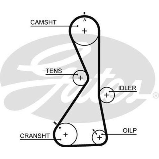 Gates Timing Belt T1021