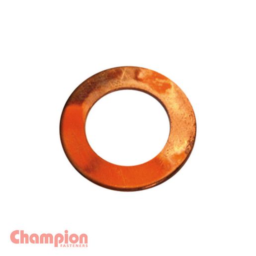 Champion Fasteners Washer Flat Copper 7/8In X 1 3/8In X 20G C225-11