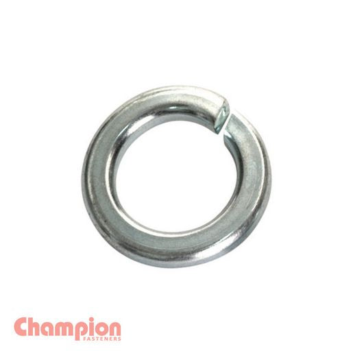 Champion Fasteners Washer Spring Flat Section 10mm Zinc Plated C648-11