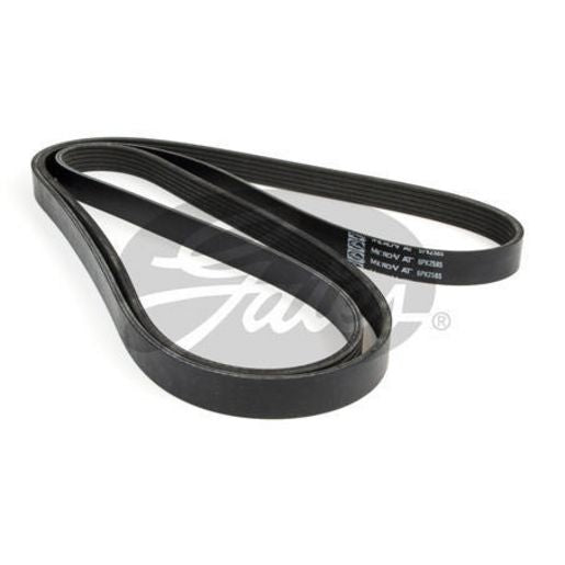 Contitech Ribbed Belt 6PK2585