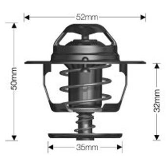 Dayco Thermostat DT73G