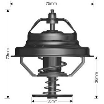 Dayco Thermostat DT81A