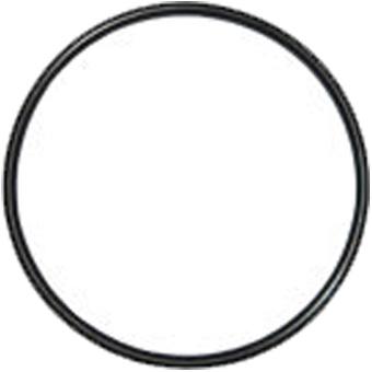 Dayco Thermostat Seal DTG78