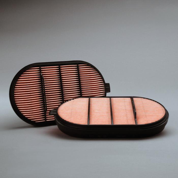 Donaldson Air Filter P601560
