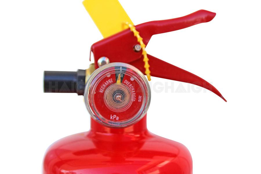 Fire Extinguisher 1.0KG (1A10B:E) - Drive FW3