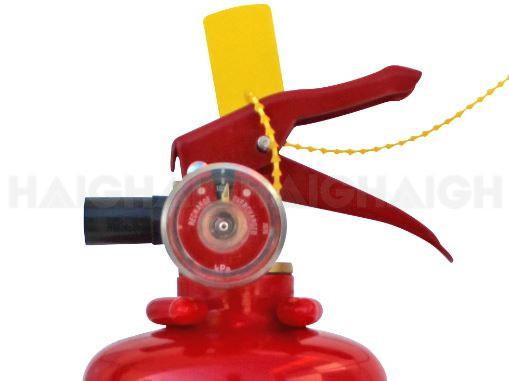 Fire Extinguisher 1KG (1A20B:E) - Drive FW4