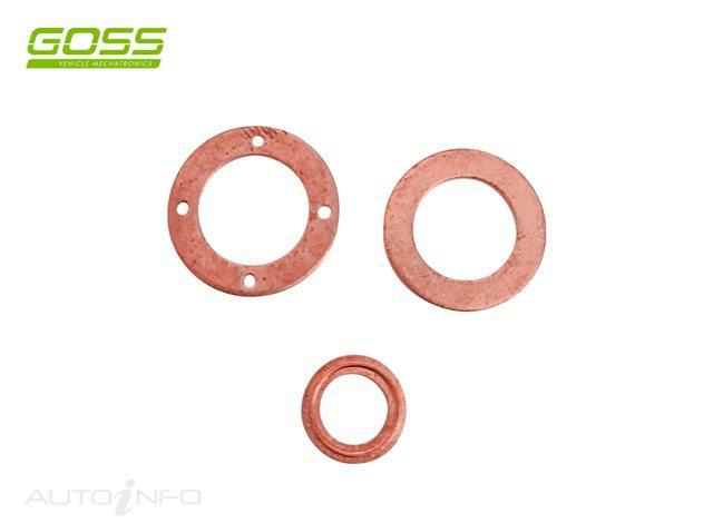 Goss Diesel Injector Washer Kit DWK250