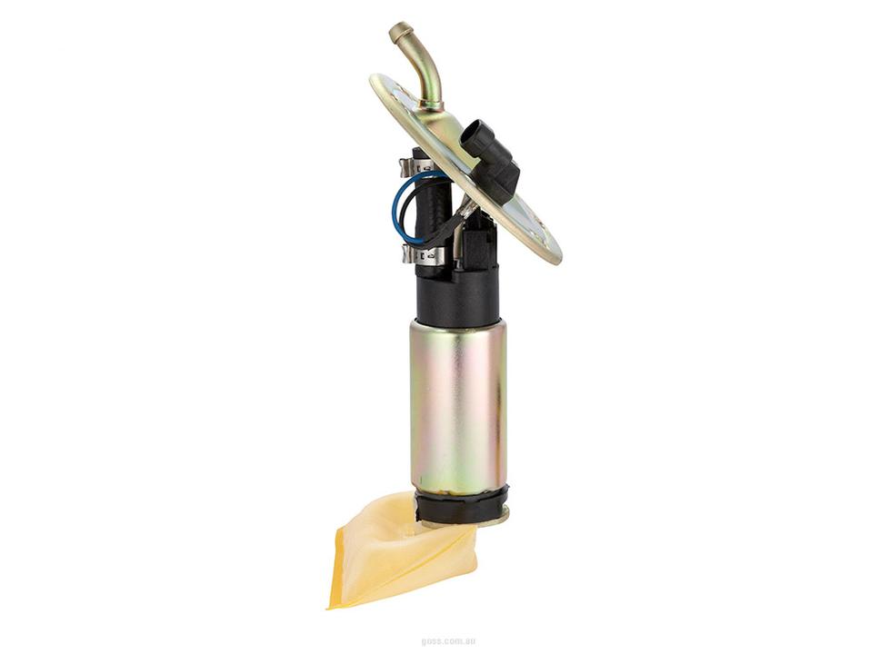 GOSS Fuel Pump Module GE288