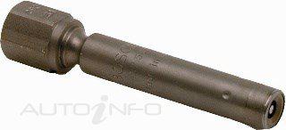 Goss Fuel Injector PIN013