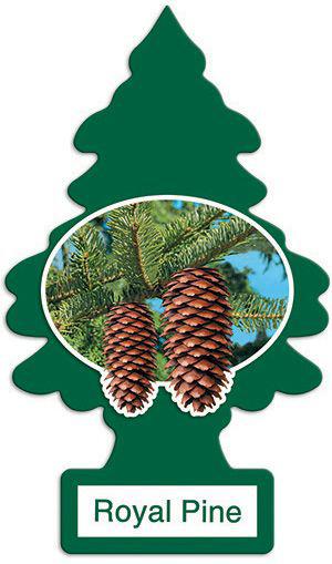 Little Trees Car Air Freshener Royal Pine 1 Pack