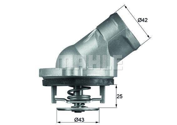 MAHLE Thermostat & Housing TI 45 87D
