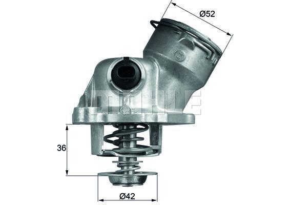 MAHLE Thermostat & Housing TM 29 100D