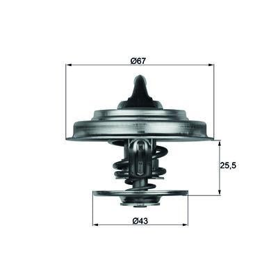 MAHLE Thermostat TX 18 87D