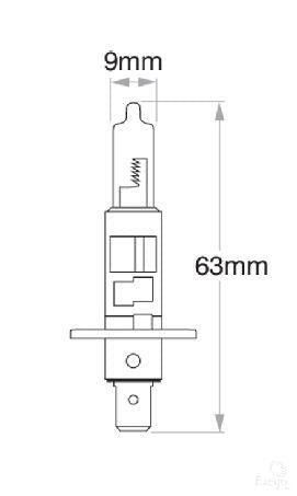 OEX H1 Globe 12V 55W P145S Season GLX16557