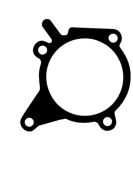 Payen Water Pump Gasket KA728