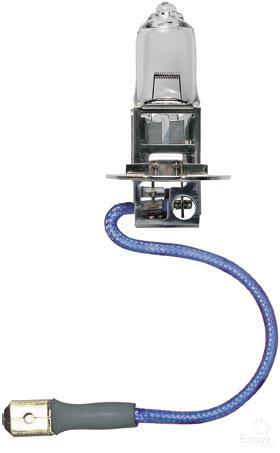 Philips Standard H3 Globe 24V 100W 13628
