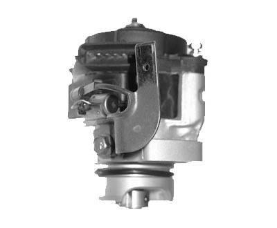 RAE Ignition Distributor DJ59571N