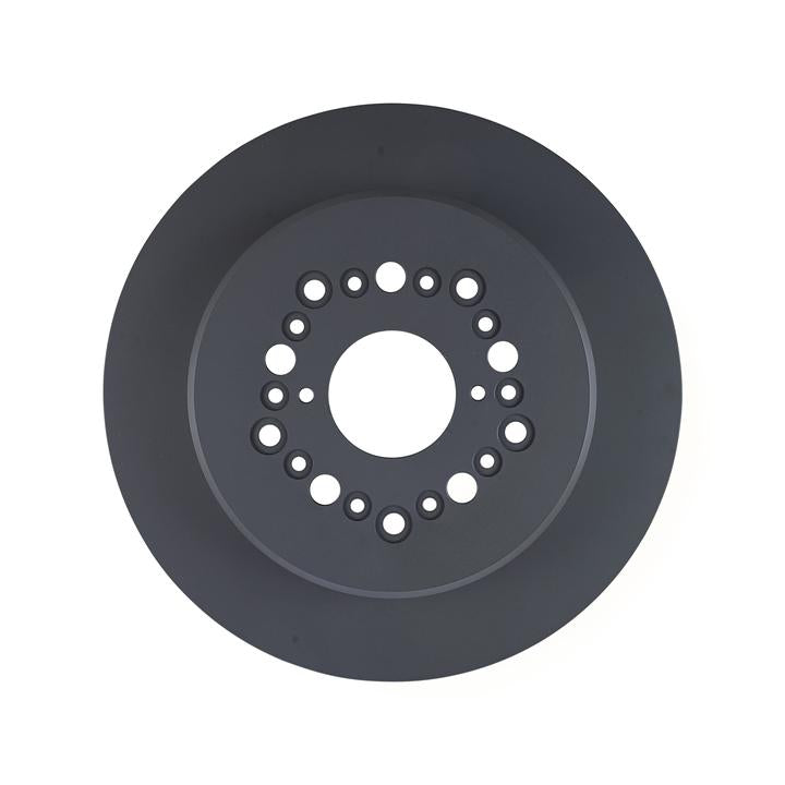 RDA OE Replacement Brake Rotor Single 307mm Rear RDA7511