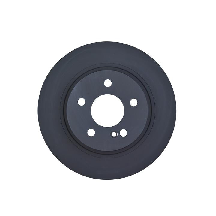 RDA OE Replacement Brake Rotor Single 300mm Rear RDA8089