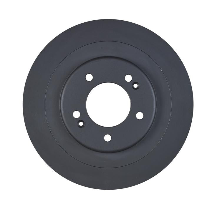 RDA OE Replacement Brake Rotor Single 300mm Rear RDA8199