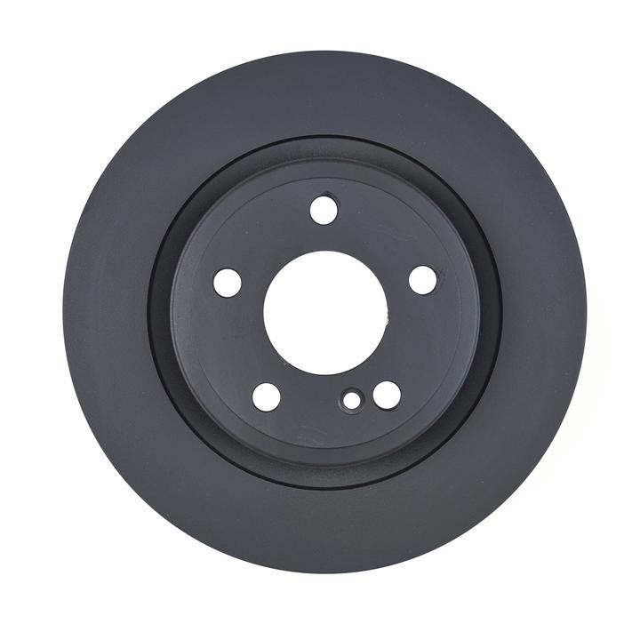 RDA OE Replacement Brake Rotor Single 300mm Rear RDA8389