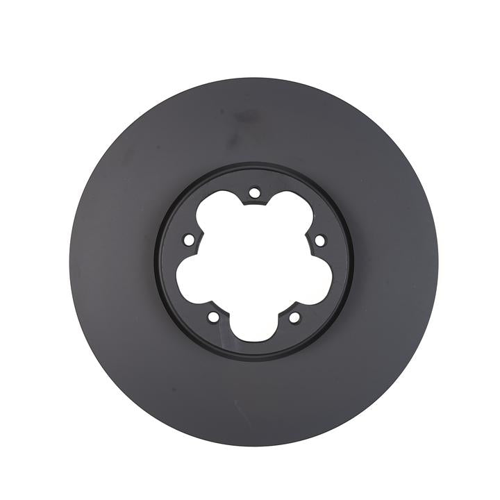 RDA OE Replacement Brake Rotor Single 308mm Front RDA8396